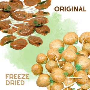 Freeze Dried Carmel Apple Suckers