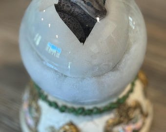 Burmese Python Hatchling Wet Specimen