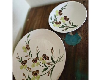Blue Ridge Southern Potteries Hand Painted Sunny Spray Plates Set of 2 Vintage