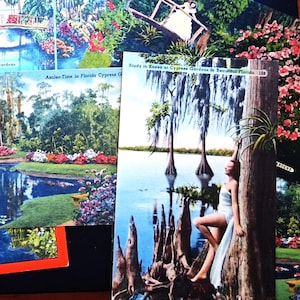 May include: A collection of vintage postcards featuring colorful scenes of Cypress Gardens, Florida. The postcards depict gardens, bridges, and a woman leaning against a tree. The postcards are arranged on a dark surface.