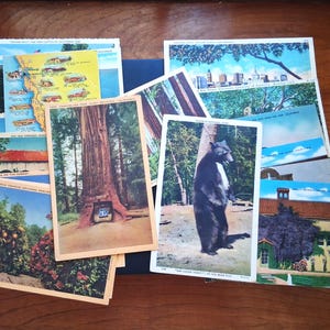 May include: A collection of vintage postcards featuring scenic views. The postcards depict a map, a giant redwood tree, a bear, and cityscapes. The postcards are stacked on a wooden surface.