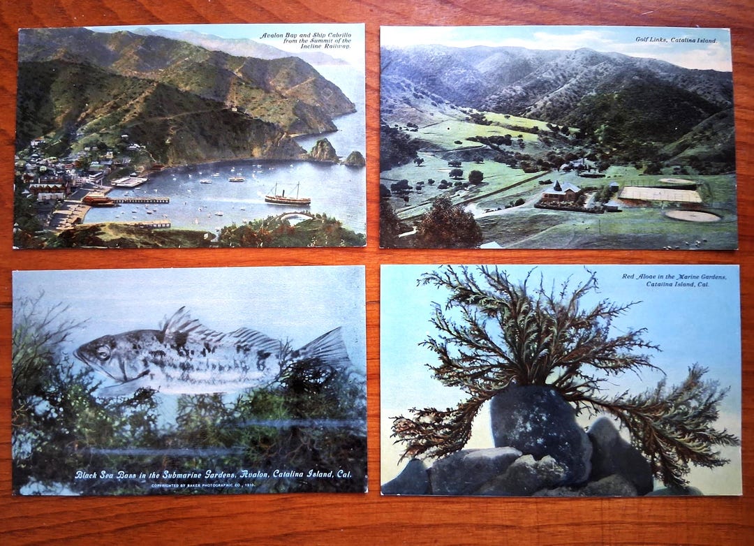Set of FOUR Catalina Color Postcards off the California Coast - 1910s ...