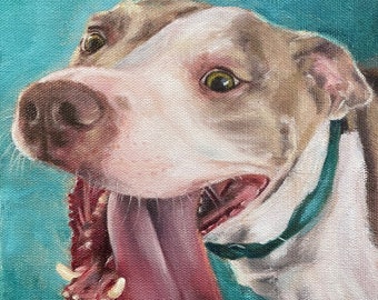 Custom Pet Portraits, Oil Painting