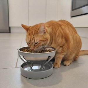 Pode incluir: Um gato laranja comendo de uma tigela elevada cinza para animais de estimação. A tigela está cheia de ração seca para gatos. A tigela está em uma base cinza, e o gato está em uma cozinha.