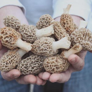 May include: A white ceramic mug with a black handle and the text "But First, Coffee" in a black, bold font. The mug is on a white surface.