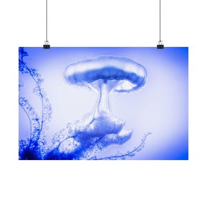 Blue Jellyfish Matte Poster Art, Ocean Wall Decor, Nautical Home Art, Underwater Aesthetic, Gift for Sea Lovers