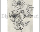 Botanical Flower Line Art Print – Neutral Cottagecore Wall Art, Vintage Floral Illustration, Minimalist Decor, Digital Download 5x7 & 8x10