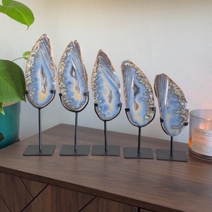 May include: Five agate slices with blue, yellow, and white patterns are displayed on black metal stands. The agate slices are arranged on a dark wood cabinet, creating a decorative display. The natural stone formations are a unique home decor item.