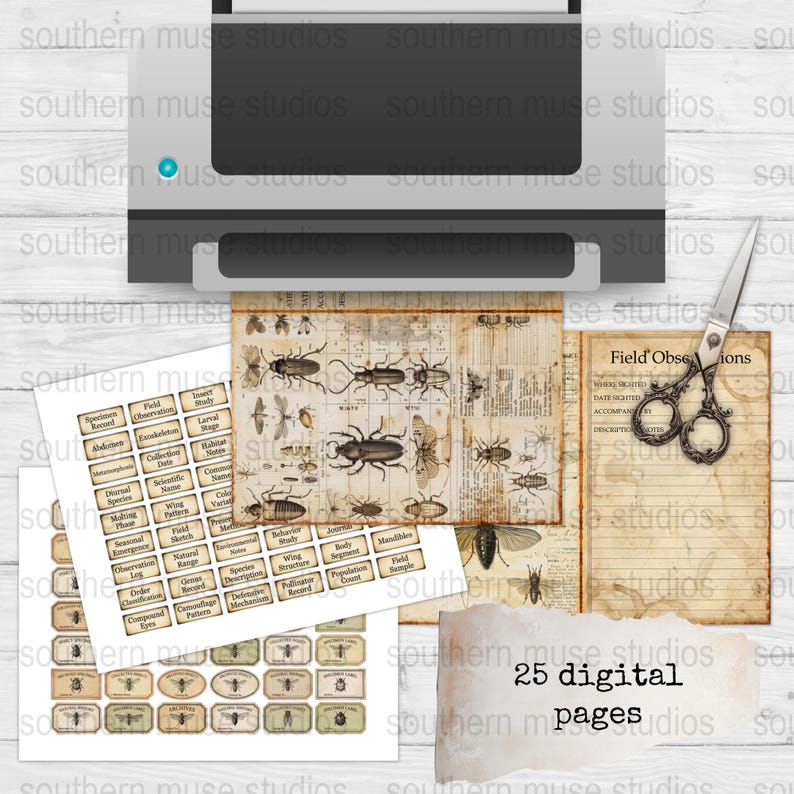 Entomology Junk Journal Kit, Field Observation Pages, Insect Ephemera ...