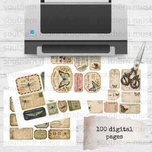 Collection of vintage-style butterfly, dragonfly, and nature study ephemera.