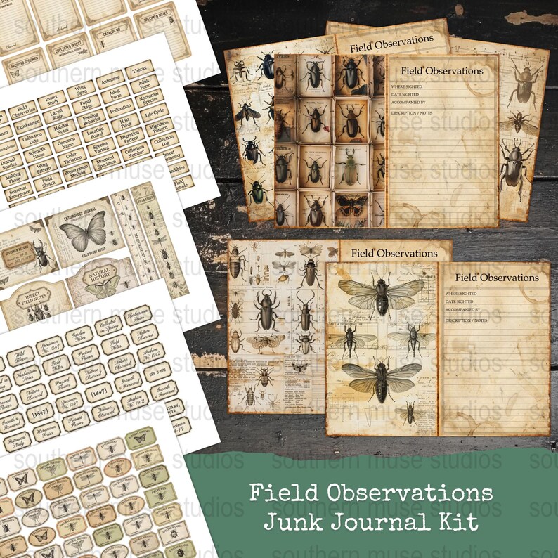 Printable Insect Journal Entomology Junk Journal Kit, Field Observation Pages, Insect Ephemera ...