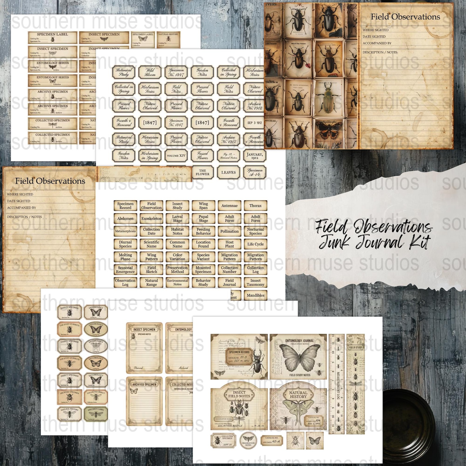 Printable Insect Journal Entomology Junk Journal Kit, Field Observation Pages, Insect Ephemera ...