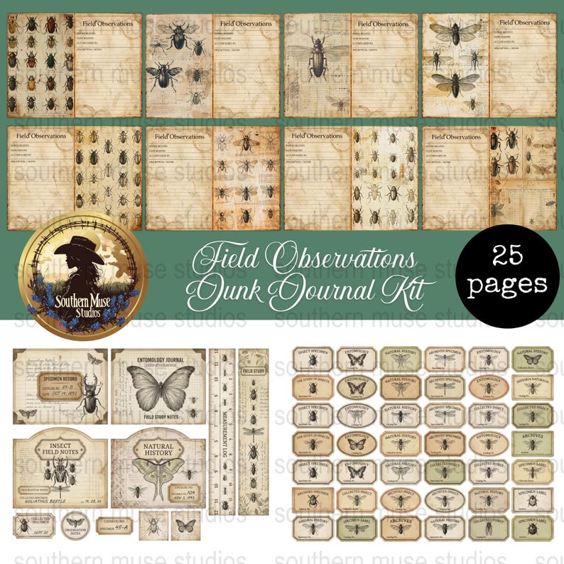 Entomology Junk Journal Kit, Field Observation Pages, Insect Ephemera ...