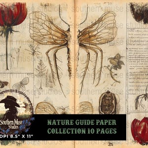 Nature Guide Paper, Digital Download, Botanical Illustration, Vintage Style, Floral Art, Printable Paper, Scrapbook Paper, Junk Journal