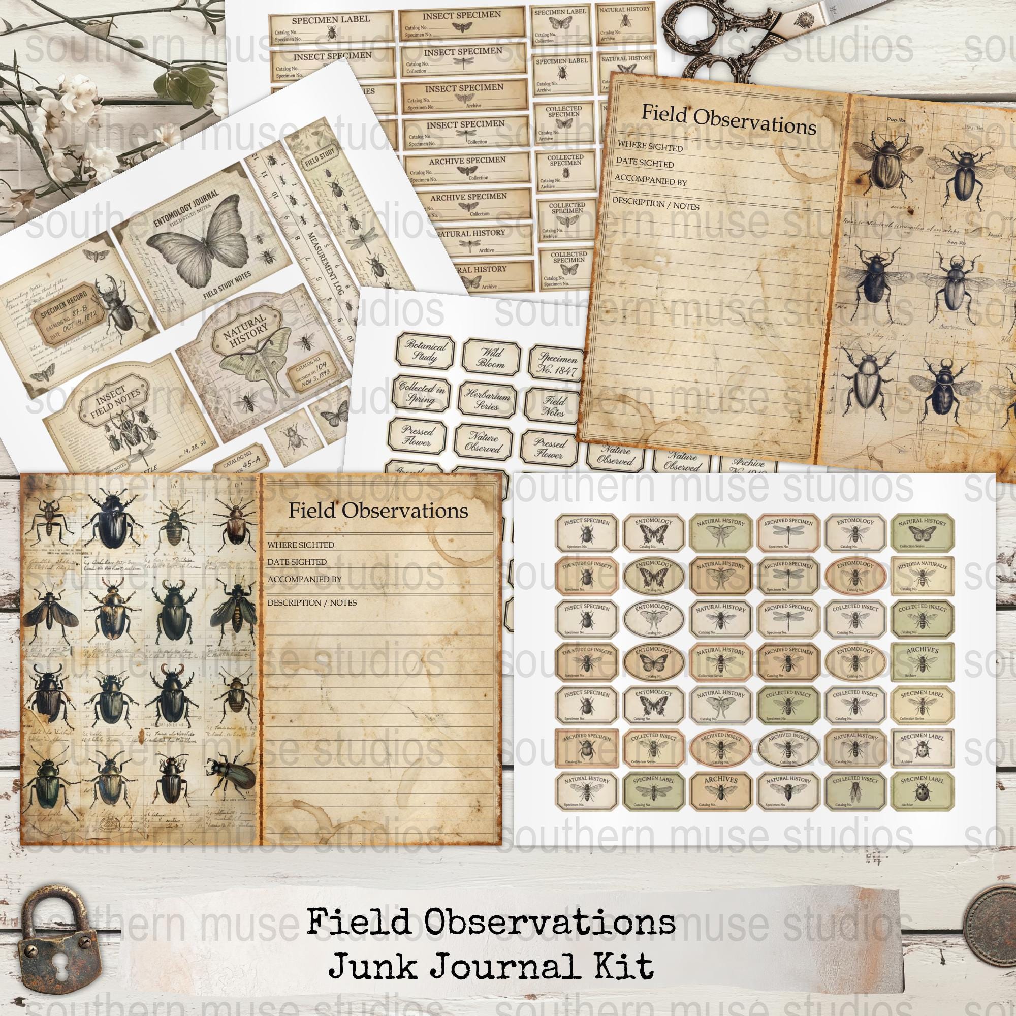 Printable Insect Journal Entomology Junk Journal Kit, Field Observation Pages, Insect Ephemera ...