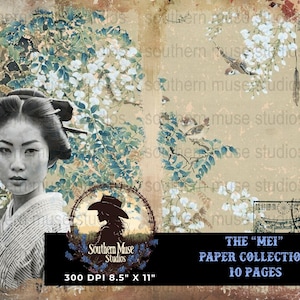Japanese Geisha Digital Paper, Crane Scrapbook Paper, Oriental Art Ephemera, Asian Junk Journal Pages, Mixed Media Digital Download