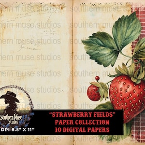 Op de afbeelding: Digitale papiercollectie "Strawberry Fields" met een vintage esthetiek. Het ontwerp toont een grote, rijpe aardbei met groene bladeren, tegen een achtergrond van verouderd papier en een rood ruitpatroon. Papierformaat: 21,59 cm x 27,94 cm.