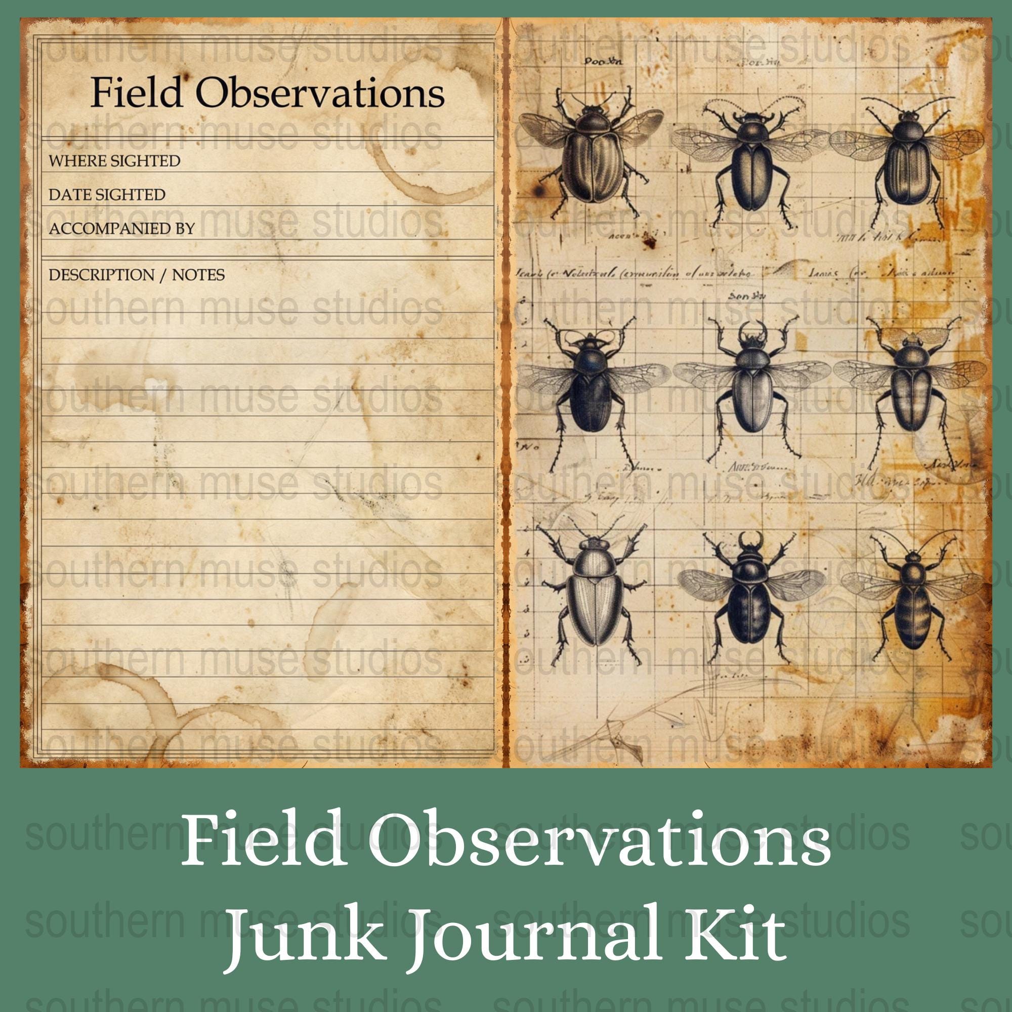 Entomology Junk Journal Kit, Field Observation Pages, Insect Ephemera ...