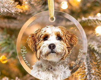 Adorno de cristal personalizado para perro, adorno navideño conmemorativo para perro, recuerdo de mascota, adorno navideño con foto de gato, regalo con nombre y retrato de mascota