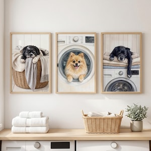 May include: Three framed wall art prints featuring dogs in a laundry room. The left print shows a black and white dog in a wicker basket. The center print shows a tan Pomeranian inside a washing machine. The right print shows a black dog on a dryer.