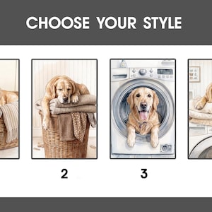May include: A graphic display titled CHOOSE YOUR STYLE featuring four numbered illustrations of a golden retriever. The images show the dog resting in a wicker laundry basket, lying on folded towels, sitting inside a washing machine, and on a dryer.