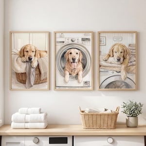 May include: Three framed wall art prints featuring a golden retriever in a laundry room setting. One shows the dog in a wicker basket, one inside a washing machine, and one resting on top of a washing machine with a sign reading Laundry Day.