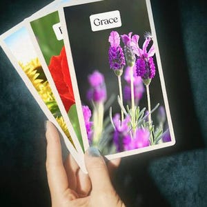 Les cartes Oracle My Wildflower nourriront votre spiritualité, vous guideront pour vivre de manière authentique et vous aideront à trouver la vraie liberté intérieure.