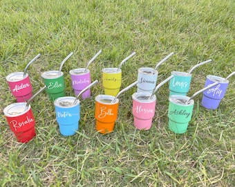 Personalized Mini Tumbler, Bridesmaid Proposal Cups, Stainless Steel 3oz Shot Glass Tumbler, Bachelorette Party Gifts, Girls Trip Group Gift