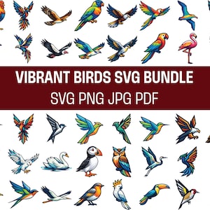 40 Ready to Use Bird Designs, Bird Clipart, hummingbird, Cricut Cut Files, Printable SvG, Sublimation Design OK-217