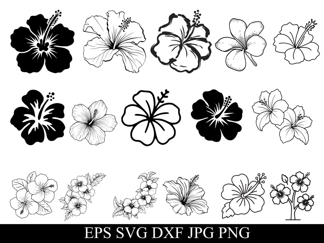 Hibiscus Flowers Svg Bundle, Hibiscus Png, Tropical Floral Clipart ...