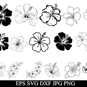 Puede incluir: Colección de diseños de flores de hibisco en blanco y negro. La imagen presenta varios estilos, incluyendo siluetas sólidas y dibujos lineales detallados. Las flores están dispuestas en filas y racimos, adecuadas para proyectos de arte digital o manualidades.