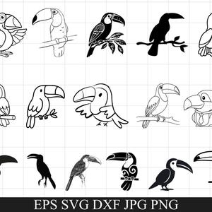 May include: A collection of toucan illustrations in various styles, including line art, silhouettes, and detailed drawings. The images showcase the birds in different poses, some perched on branches.