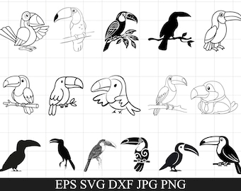Paquete de SVG de tucán, pájaro, loro SVG, imágenes prediseñadas, archivos de corte para Cricut, silueta, vector, contorno OK-248