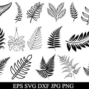 Puede incluir: Una colección de ilustraciones de hojas de helecho en blanco y negro en varios estilos. La imagen incluye dibujos detallados de diferentes frondas de helecho, adecuados para proyectos de diseño. El texto en la parte inferior dice "EPS SVG DXF JPG PNG".