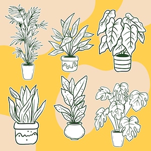 Indoor Plant PNG Set – 6 Cute Houseplant Clipart Icons for Stickers and Crafts