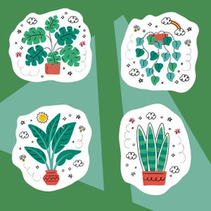 Cute Houseplants Clipart – Cartoon Plant PNG Set for Stickers and Crafts