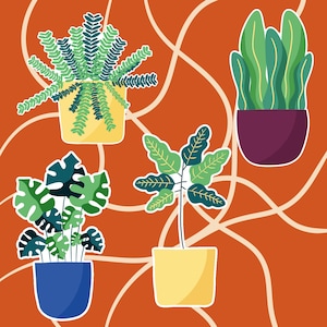 Indoor Plant Icons PNG – Set of 4 Cute Houseplants for Stickers and Green Decor