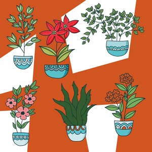 Indoor Plant PNG Set – 6 Houseplant Clipart Icons for Cozy Greenery and Crafts