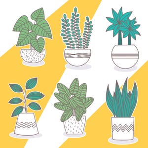 Indoor Plant PNG Set – 6 Cute Houseplant Clipart Icons for Stickers and Decor