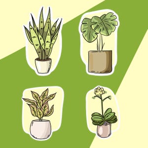 Indoor Plant PNG Set – 4 Cute Houseplant Clipart Icons for Stickers and Crafts