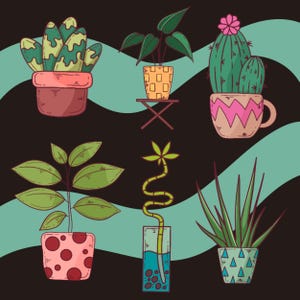 Indoor Plant PNG Set – 6 Houseplant Clipart Icons for Stickers and Botanical Crafts