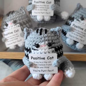 Puede incluir: Figuras de gato grises de ganchillo con rayas negras y patas blancas, cada una con un letrero que dice "Positive Cat" con un mensaje inspirador. Los gatos se muestran en grupo.