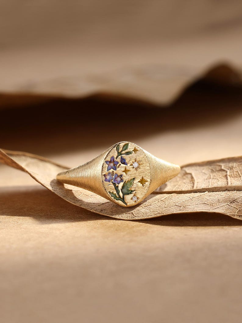K&ouml;nnte beinhalten: Ein goldener Siegelring mit geb&uuml;rstetem, mattem Finish und ovaler Ringplatte. Die Platte ist mit einem floralen Emaille-Design in Blau- und Gr&uuml;nt&ouml;nen verziert, akzentuiert durch kleine eingravierte Sternformen und zwei winzige klare Steine.