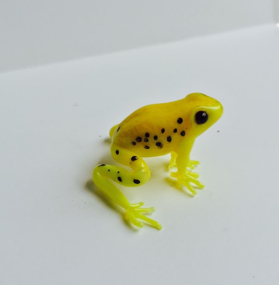 Yellow Dart Frog Etsy