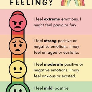 以下が含まれることがあります： 「HOW AM I FEELING?」と書かれたカラフルなポスター。虹と、さまざまな感情を表す顔が描かれた気分スケールが特徴です。スケールは、極端な感情から穏やかでポジティブな感情まであります。