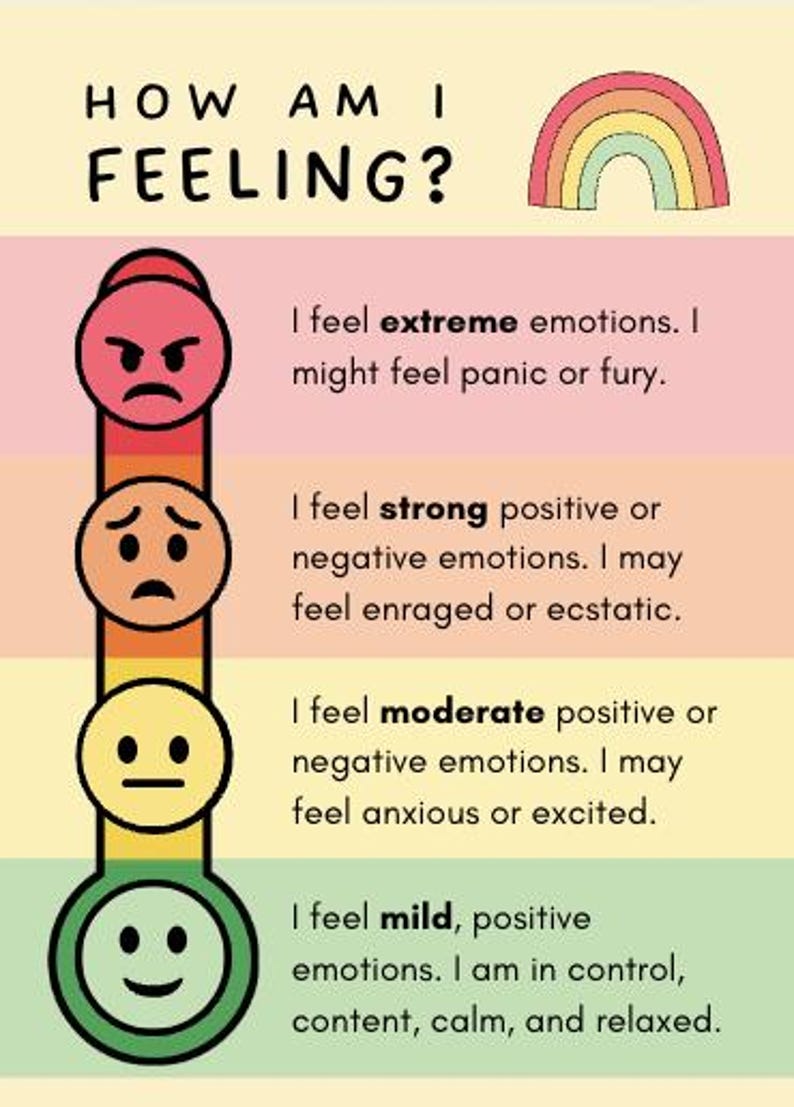 以下が含まれることがあります： 「HOW AM I FEELING?」と書かれたカラフルなポスター。虹と、さまざまな感情を表す顔が描かれた気分スケールが特徴です。スケールは、極端な感情から穏やかでポジティブな感情まであります。