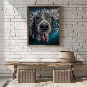 Playful Dog Portrait Printable - Happy Merle Border Collie Photograph, Rustic Farmhouse Decor, Cheerful Wall Art, Cottagecore Dog Print 139