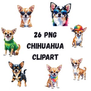 26 Chihuahua clipart Bundle, Cute Chihuahua, Watercolor Chihuahua Clip Art, High Resolution PNG, Digital Download, Commercial Use