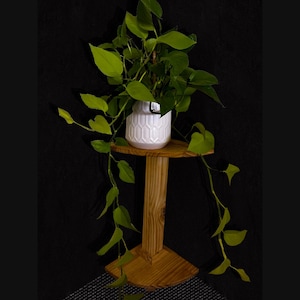 Corner Bloom Stand – Handcrafted Pine Wood Plant Stand, 70cm Tall, Ideal for Indoor/Outdoor Use