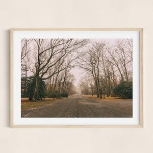 Stunning East Hamptons Landscape Print, featuring large photographic wall art of a serene Hamptons nature scene, perfect for elegant home decor and artistic Hamptons photography.